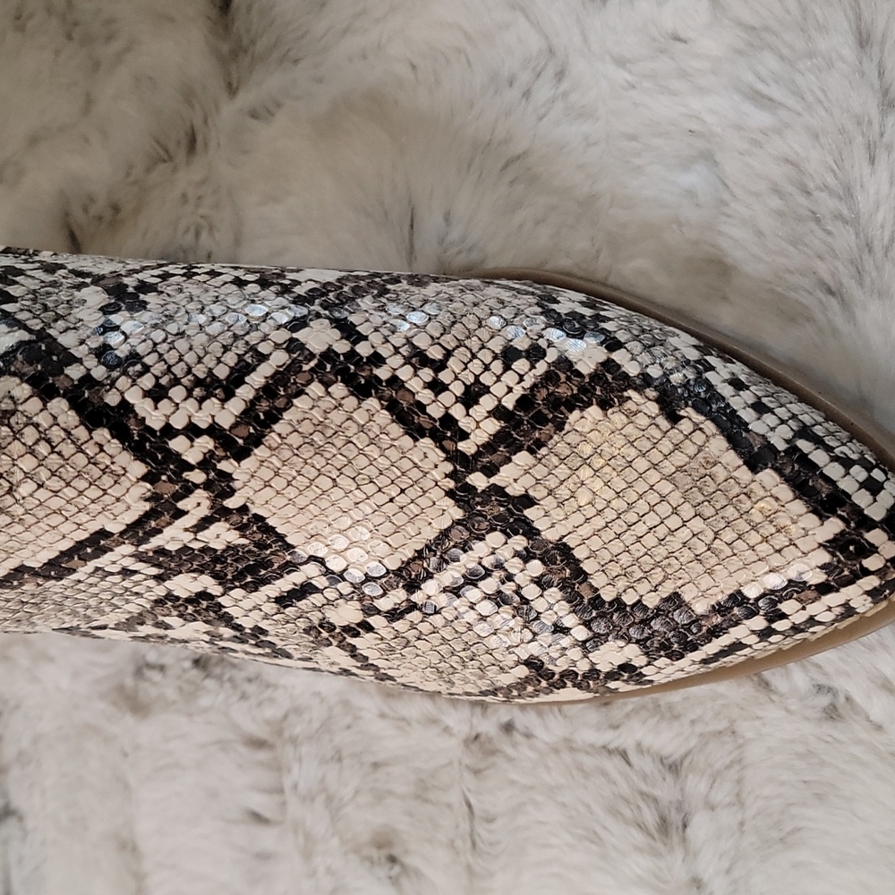 Snakeprint Booties - Picture 9 of 12